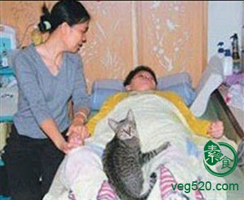 小动物帮助男童康复