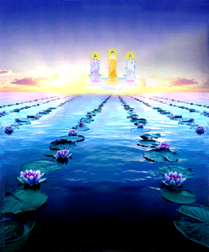 t0182a6398f9850ff04.gif 文章恭录—2014净土大经科注第85集