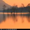 2009_8_29_94871_9894871[1]
