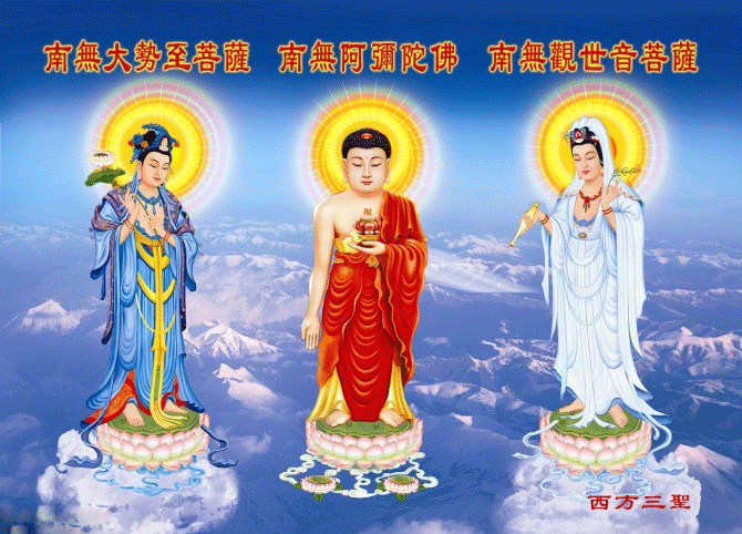 3064136596489456005.jpg 摘自2014净土大经科注-第80集