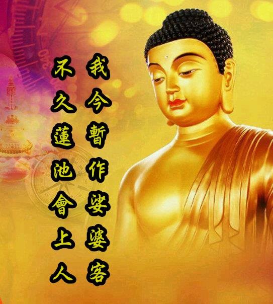 幸得人身,幸闻净土法门