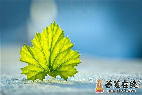 心是净土,也是红尘