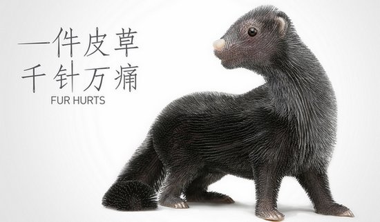 002DH56Dzy6IRziDavh83&690.jpg 图文/PETA亚洲善待动物组织