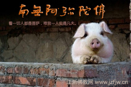 14262170577056.jpg 印光大师:曹操变猪,见者出家