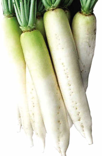 ѿ