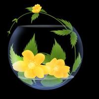 印光大师告诉我们对命运的认识方法