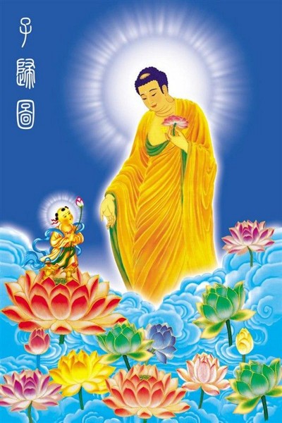 这种人不叫有净土