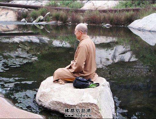 ‘不讥彼缺是菩萨净土’的意思?